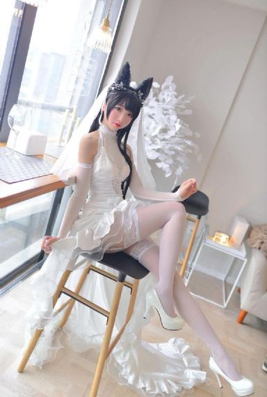 代号电视剧在线观看免费完整版_BD英语在线手机播放