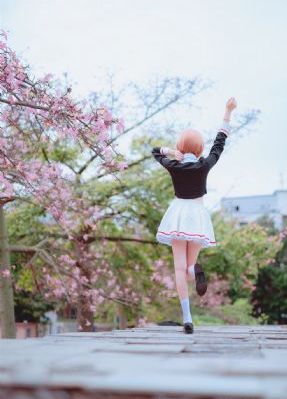 汪汪队立大功 第9季_BD国语最新电影在线观看